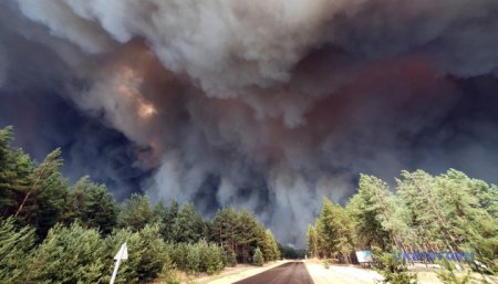 Масштабна лісова пожежа на Луганщині: загинуло 7 осіб (ВІДЕО)